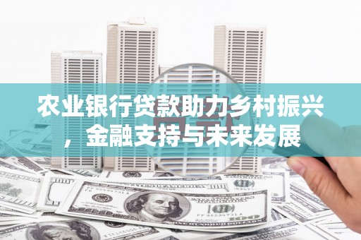 延平农业银行贷款助力乡村振兴，金融支持与未来发展